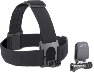  1 Looking for GoPro head strap/mount