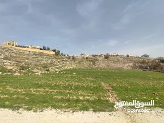  6 للبيع قطع اراضي في عيون الجاموس