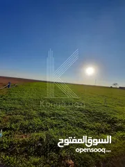  1 أرض زراعي للبيع في جنوب عمان - ام رمانة