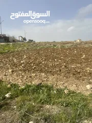  1 ارض للبيع السرو  السلط مقابل جامعه عمان