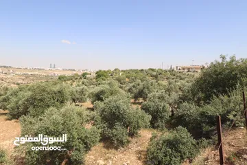  16 (1)ارض للبيع في اجمل مناطق الأردن الفحيص _حوض أبو ركبه _بالقرب من دابوق