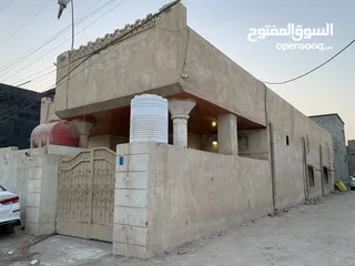  12 بيت في مناوي لجم للبيع اقرا الوصف