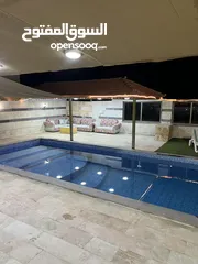  12 مزرعة الطيب