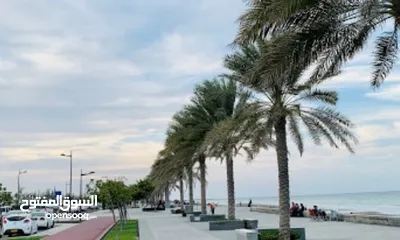  1 شقة مفروشة للإيحار اليومي على شارع منتزه شاطئ السيب ، apartment  for daily rent on the seeb beach