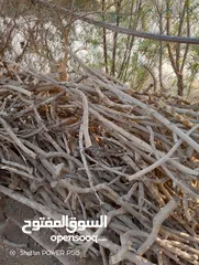  1 تشكيلة حطب للبيع