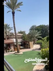  4 فيلا واسعة للايجار