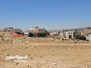  8 للبيع – أرض مميزة في شفا بدران - عيون الذيب