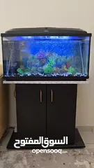  6 Fish tank with all accessories