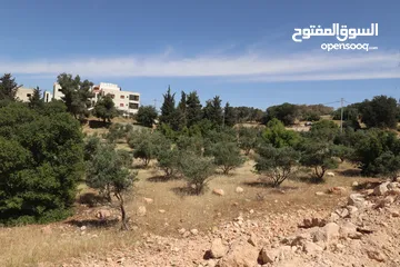  20 ارض للبيع في بدر الجديده 500م حوض الحديب باطلاله جميله تصلح لبناء فيلا فخمه بالقرب من دوار التعبئه