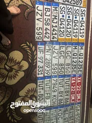  2 نمر ألمانيا واروبية