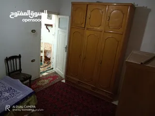  7 شقة مفروشة للايجار بدمياط الشارع الحربى