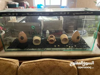  1 حوض سمك و فلتر كانستر
