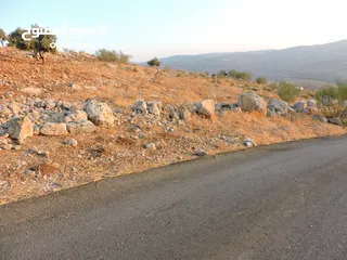  4 قطعة أرض مميزة في أجمل مناطق كفير جرش