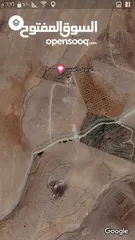  22 ارض زراعية للبيع  .. قطعه زراعية .   محافظة مادبا . ذيبان . مليح . حوض العلاقي . مساحة اربع دنمات