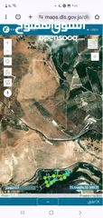  16 كرم رمان مثمر مروي من تبع ماء مساحة الكرم 8250 متر مربع على شارعين في وادي الرمان دير ابو سعيد منتج
