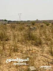  2 ارض للبيع في طرابلس