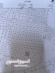  1 ارض للبيع  في جريبه خلف جامع الفاروق  للتواصل  ابوصالح الجيوسي