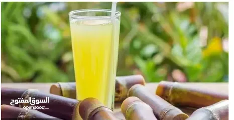  6 طاحونة قصب السكر