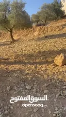  4 متوفر 3 قطع ارض بمساحات مختلفة (550)