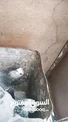  8 حمام  للبيع