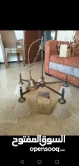  1 ثرية جديدة