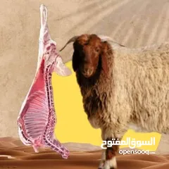  2 دبح حلال  .. انا جاهز.
