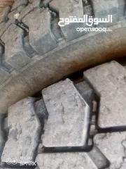  7 قلاب فطس للبيع
