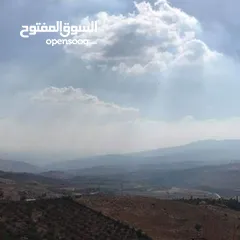  3 ارض  مميزه 4  دونمات عنيبه بالقرب من مزرعة معالي محمد نوح القضاه
