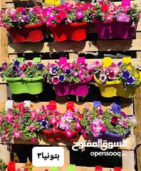  18 متوفر جميع انواع الاشجار المثمرة والزينة والورود وخدمة الزراع وتنسيق الحدائق وجميع انواع القواير