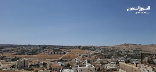  3 ارض مميزه 800 م للبيع في شفا بدرا عيون الذيب
