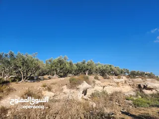  3 للبيع أرض بسهل عتيل