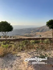  17 مزرعة في مغاريب السلط من المالك مباشرة