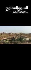  1 ارض للبيع في دير ابزيع مساحه 14 دونم صالحه للبيناء