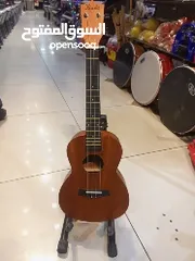  2 يوكليلي احترافي