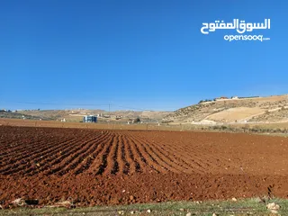  19 أرض في نادره دحل خربة المطوي شرق جرش