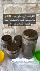  2 دقه بلوش اصليه للبيع