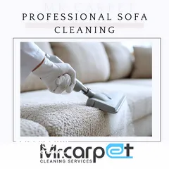  10 sofa cleaning and carpet cleaning