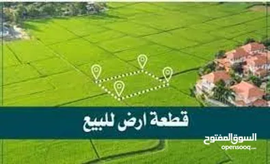  4 فرصة استثمارية ذهبية – أرض للبيع في روجيب نابلس تصلح لسكن او لمشروع تجاري تصنيف B متوفر كافة الخدمات