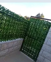  20 رول ورق شجر اخضر كثيف3 متر ب متر  للمداخل والبرندات واالحيطان