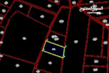  29 مادبا ماعين ارض زراعية مميزة عليها مزرعة زيتون جاهزة واصل جميع الخدمات مساحتها 4500 م