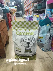  2 اكل كلاب كرنفال 3 كيلو متوفر بوبي وادولت من عمر شهرين لسبع سنوات