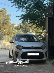 21 مورنينج بيكانتو 2020 نخب لسا بالنايلون ماشيه 40 كيلو فقط