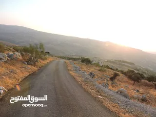  1 قطعة أرض مميزة في أجمل مناطق كفير جرش