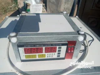  6 فقاسة بيض دجاج و فري