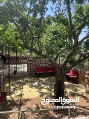  16 ششقق مفروشه ومستقله في جبال عجلون