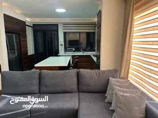  2 شقه مفروشه للايجار في المصيون مقابل وزاره العدل