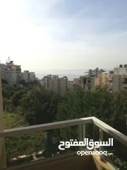  11 Furnished Apartment for rent in Blat Jbeil