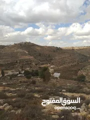  5 أرض للبيع من المالك مباشرة الخليل دورا