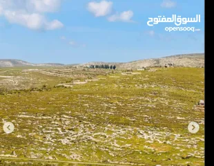  1 ارض في جينيسينيا للبيع
