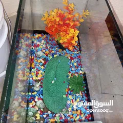  1 حوض سمك مع الزينة بسعر حرق